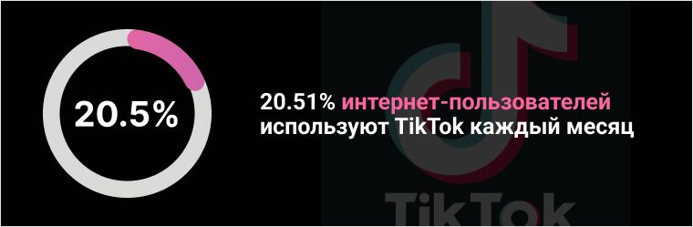 20.51% интернет пользователей используют TikTok