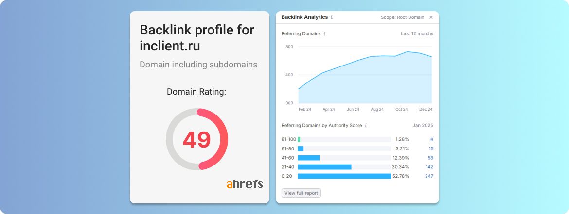 Статистика блога Алексея Бегина январь 2025