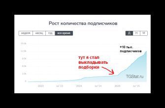 Как я создаю подборки и привлекаю подписчиков в Telegram